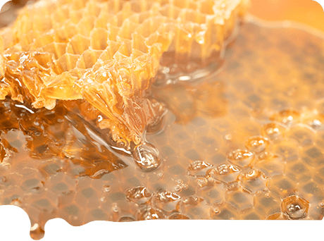 85%近くの糖度の蜂蜜